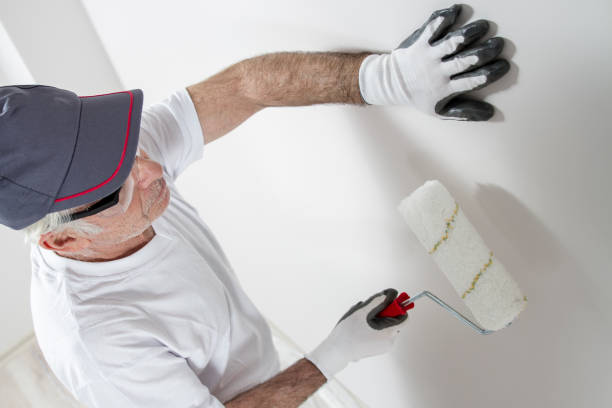 Forensic Mold Investigation in Toluca, IL