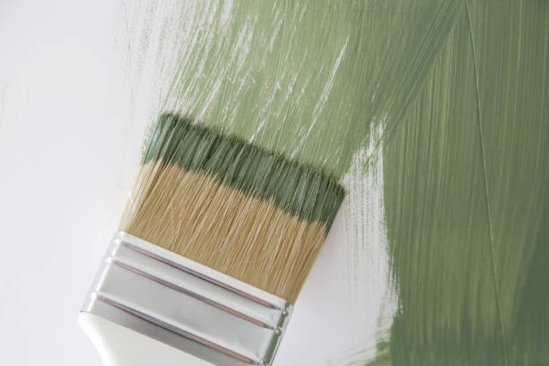 Best Mold Remediation for Healthcare Facilities  in Toluca, IL