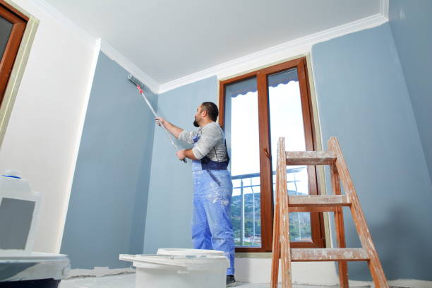 Best Black Mold Removal  in Toluca, IL