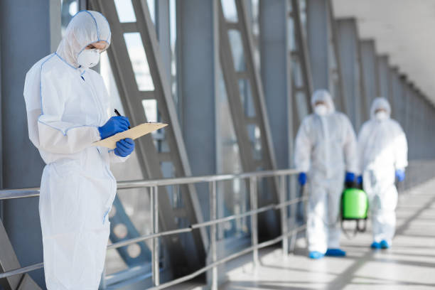 Mold Removal for HVAC Installations in Toluca, IL