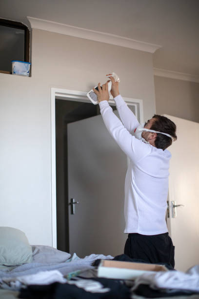 Best Mold Remediation for Vacation Homes  in Toluca, IL