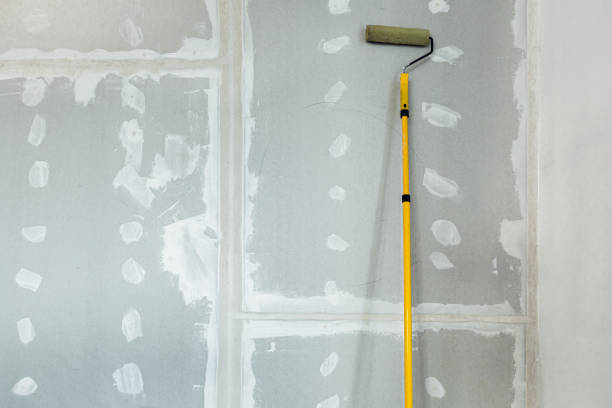 Best Post-Construction Mold Inspection  in Toluca, IL