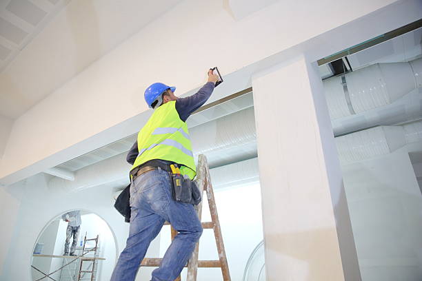 Best Dehumidification Services  in Toluca, IL